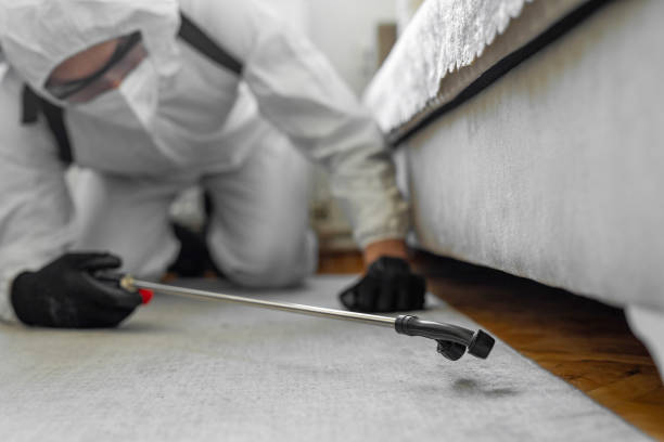 Professional Bed Bug Control technician working in Dalhart, TX